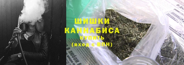 прущие грибы Горняк