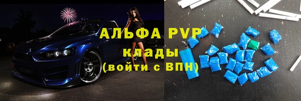 прущие грибы Горняк