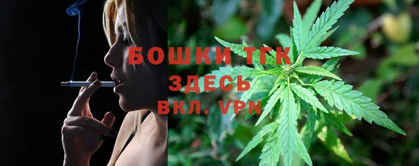 прущие грибы Горняк