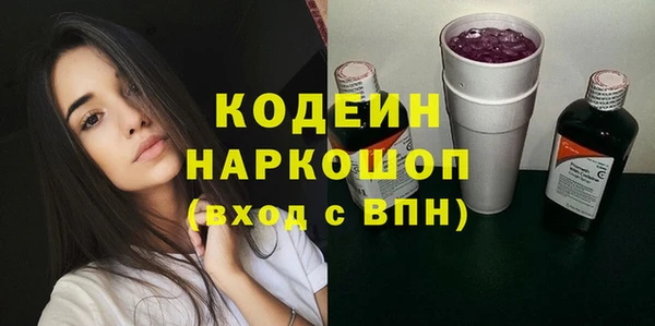 прущие грибы Горняк