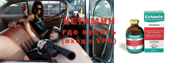 прущие грибы Горняк