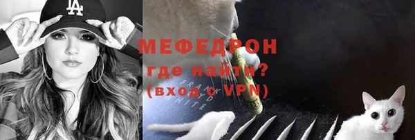 прущие грибы Горняк