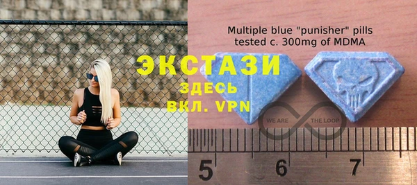 прущие грибы Горняк