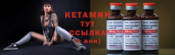 прущие грибы Горняк
