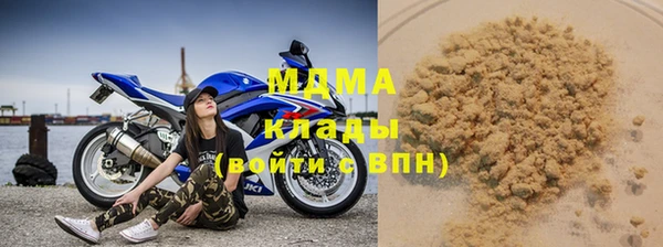 прущие грибы Горняк