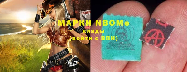 прущие грибы Горняк