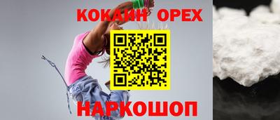 винт Партизанск