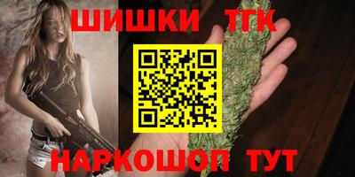 винт Партизанск