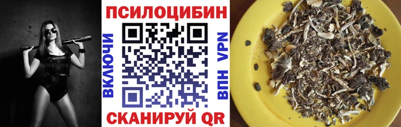 shop официальный сайт Топки Галлюциногенные грибы GOLDEN TEACHER