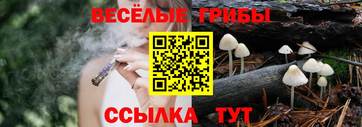 Галлюциногенные грибы ЛСД  где можно купить   Топки  Вход с VPN 